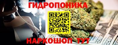 гашик Гай