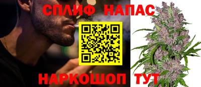 гашик Гай