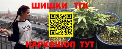 герыч Будённовск