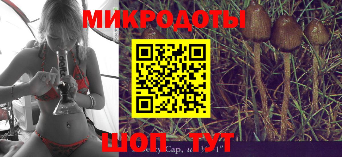 Ивантеевка  Псилоцибиновые грибы Psilocybe  Вход с VPN 