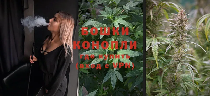 купить закладку  блэк спрут сайт  Конопля OG Kush  Ивантеевка 